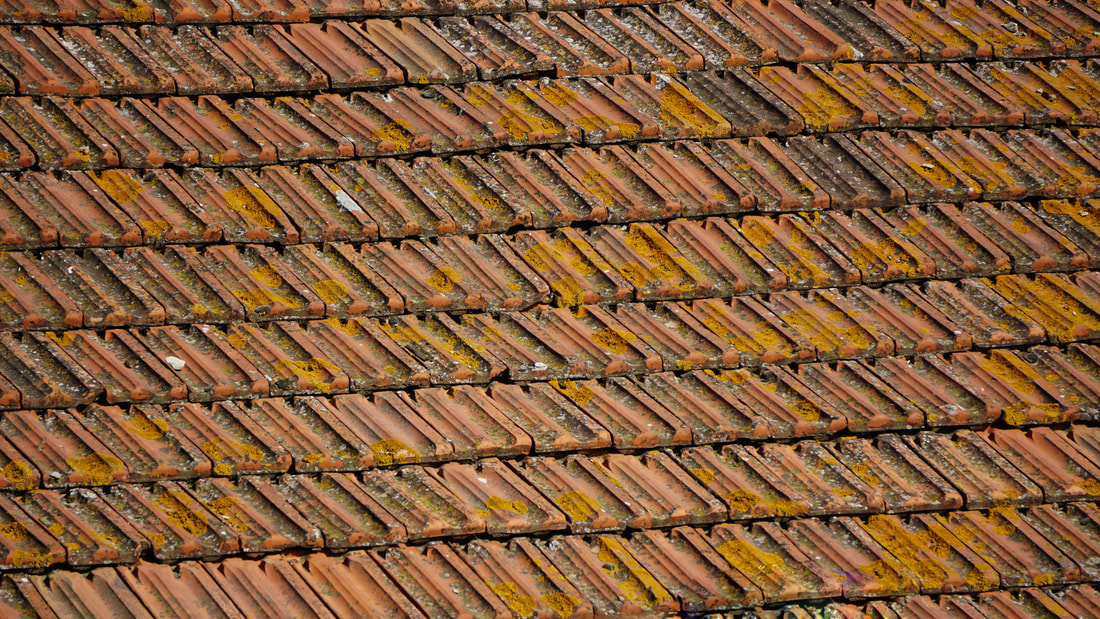 old roof with molds